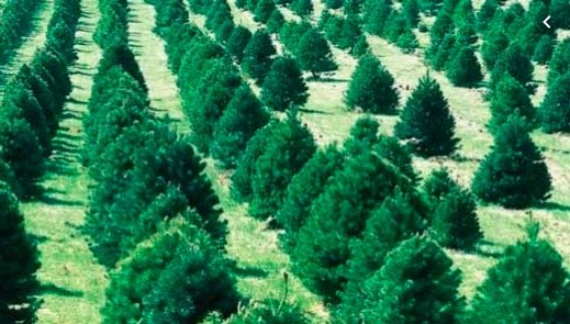 Screenshot_8.jpg