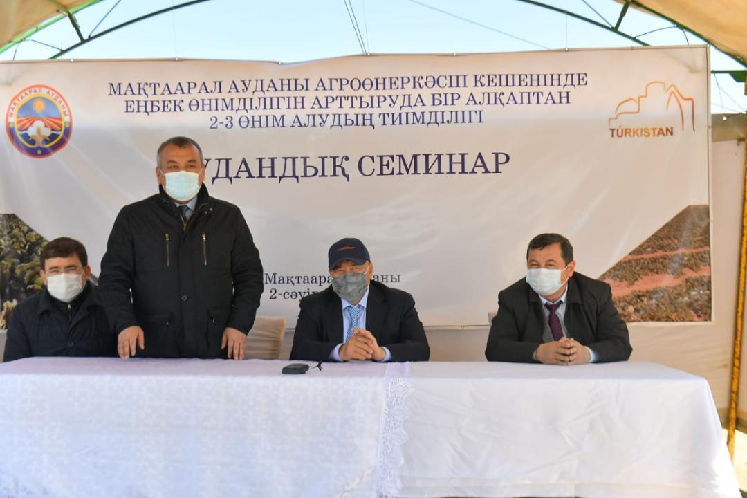 87.jpg
