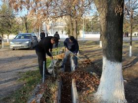 Мақтааралда аудандық деңгейде сенбілік өтті