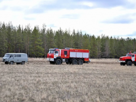 Абай облысындағы өрт: 400 гектар орман алқабы жанып кетті