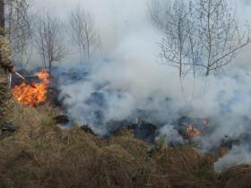 Орман өрті: Полиция күдіктінің табылғанын хабарлады