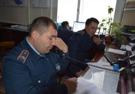 Бұқа ұрлаған күдіктілердің басқа да қылмыстары ашылды