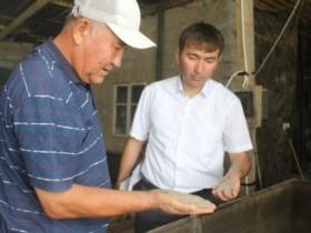 Тәуекелмен басталған бизнес