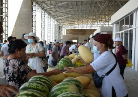 Түркістанда ауыл шаруашылығы өнімдерінің жәрмеңкесі өтті