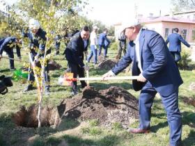 «Эко сағат!» аясында 50 түп арша егілмек