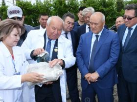 Зиянкестерден қорғайтын жәндік өсіреді