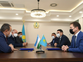 Түркістанның орман шаруашылығын дамытуға Өзбекстан ғалымдары атсалысады