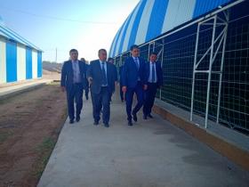 Келесте шағын кәсіпкерлікке қолдау көрсетілуде