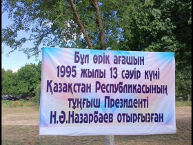 Сауран ауданында Елбасы еккен жеміс ағашы мәуелі баққа айналды