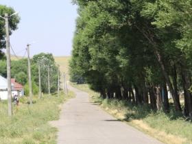 Ауылын «жап-жарық» етті