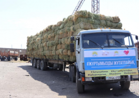 Ордабасы ауданынан Маңғыстауға 4 вагон мал азығы жіберілді