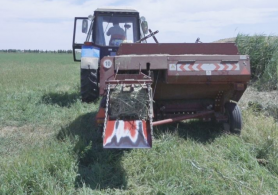 Келестіктер мыңнан аса сығымдалған шөпті маңғыстауға жіберуде