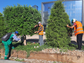 Көгалдандыру жұмыстары кестеге сай жүргізілуде