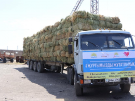 Ордабасы ауданынан Маңғыстауға 4 вагон мал азығы жіберілді