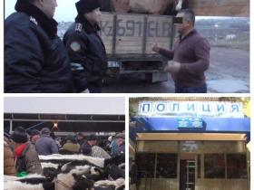 Түркістандық полицейлер мал ұрлығына қатысты қылмыстарды анықтады
