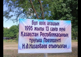 Сауран ауданында Елбасы еккен жеміс ағашы мәуелі баққа айналды