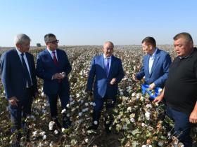 Министр Түркістанның ақ алтынына жоғары баға берді
