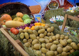 Сарыағаш ауданында егістік алқабы артады