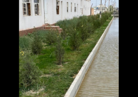 Түркістанда Сайрам ауданына бөлінген аумақ көгалдандырылды