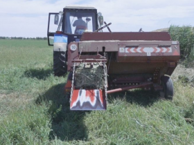 Келестіктер мыңнан аса сығымдалған шөпті маңғыстауға жіберуде